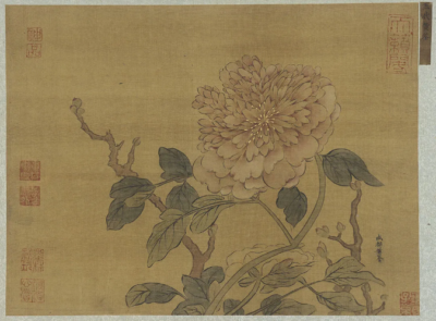 五代宫廷画家黄筌——作品赏析 – 博物画